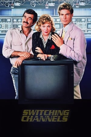 Switching Channels poster 2