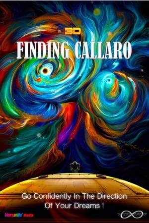 Finding Callaro poster 1