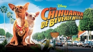 Beverly Hills Chihuahua image 6