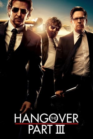 The Hangover Part III poster 3
