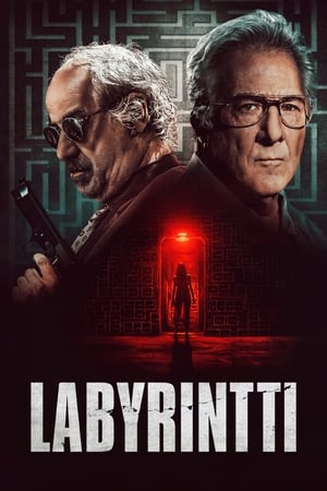 Into the Labyrinth poster 4