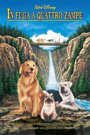 Homeward Bound: The Incredible Journey poster 4