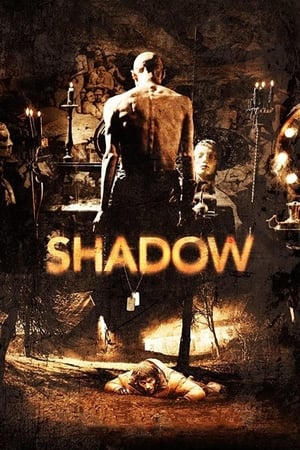 Shadow poster 1