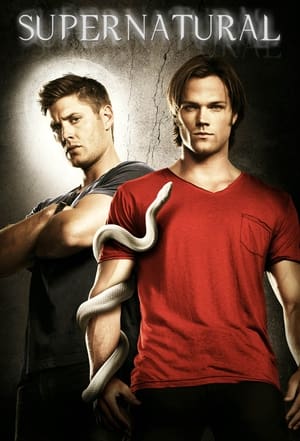 Supernatural, Season 2 poster 2