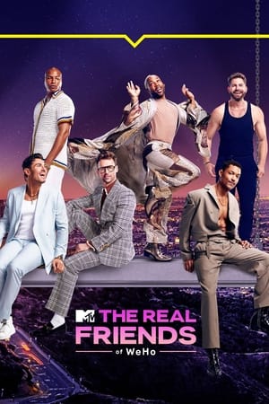 The Real Friends of WeHo, Season 1 poster 0