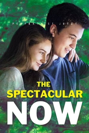 The Spectacular Now poster 1