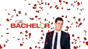 The Bachelor, Season 21 image 0
