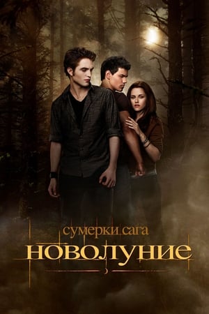 The Twilight Saga: New Moon poster 3
