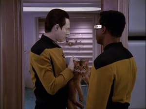 Star Trek: The Next Generation, Season 4 - In Theory image