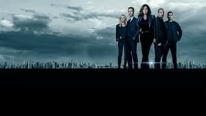 Law & Order: SVU (Special Victims Unit), Season 14 image 2
