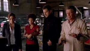 Fringe, Season 2 - A New Day in the Old Town image