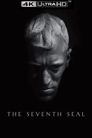 The Seventh Seal poster 3