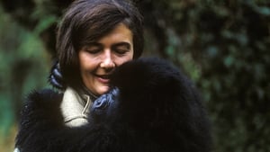 Dian Fossey: Secrets in the Mist image 1