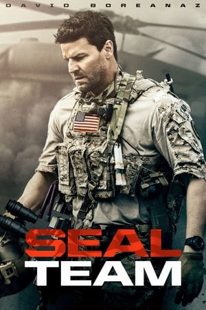 SEAL Team, Season 1 poster 0