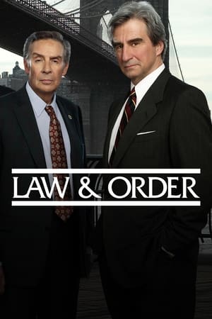 Law & Order, Season 21 poster 0