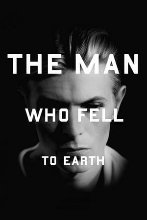 The Man Who Fell to Earth (1976) poster 3