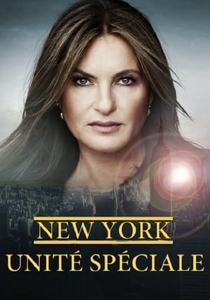 Law & Order: SVU (Special Victims Unit), Season 13 poster 0