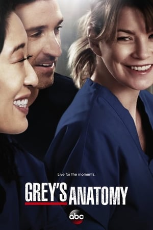 Grey's Anatomy, Season 11 poster 0