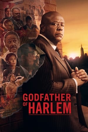 Godfather of Harlem, Season 2 poster 0