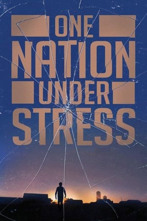 One Nation Under Stress poster 1