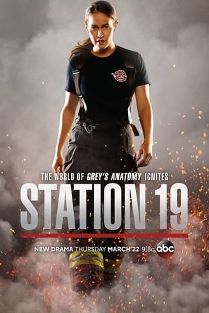 Station 19, Season 4 poster 1