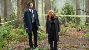 The X-Files, Season 11 - Kitten image