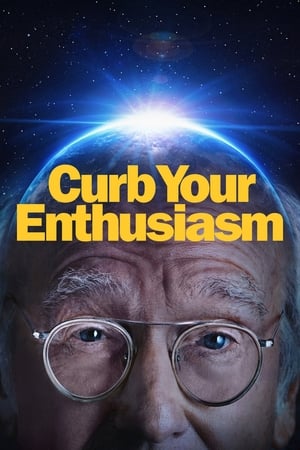 Curb Your Enthusiasm, Season 7 poster 0