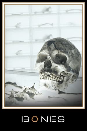 Bones, Season 10 poster 2