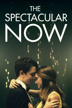 The Spectacular Now poster 2