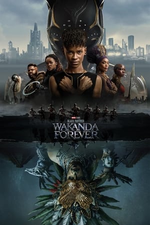 Black Panther (2018) poster 1