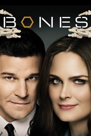 Bones, Season 5 poster 0