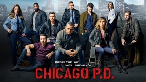 Chicago PD, Season 9 image 2
