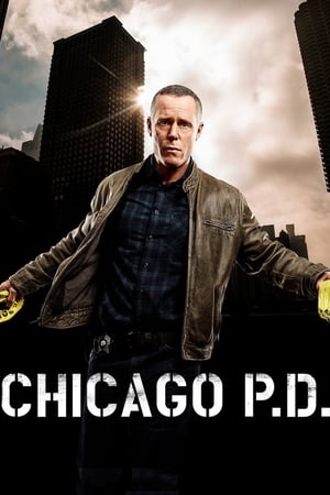 Chicago PD, Season 5 poster 1