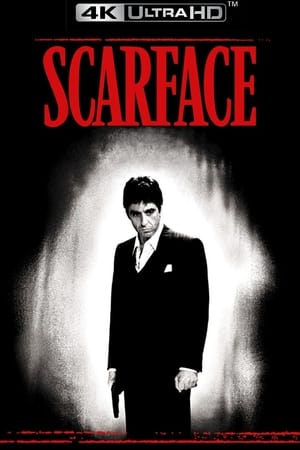 Scarface (1983) poster 3