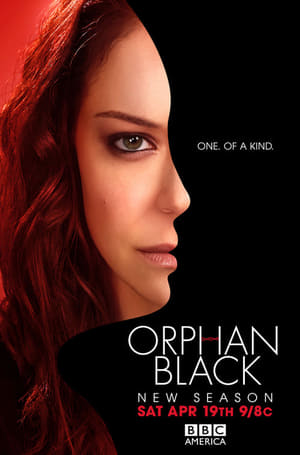 Orphan Black, Season 1 poster 3