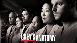 Grey's Anatomy, Season 4 image 3