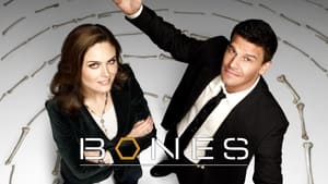 Bones, Season 11 image 2