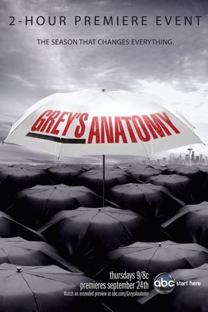 Grey's Anatomy, Season 8 poster 2