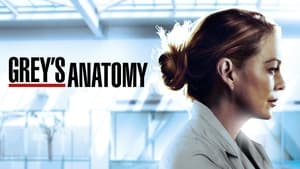 Grey's Anatomy, Season 10 image 1