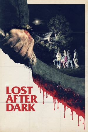 Lost After Dark poster 3