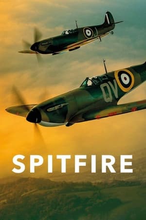 SPITFIRE: The Plane That Saved the World poster 1