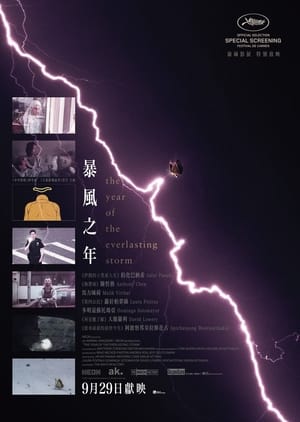 The Year of the Everlasting Storm poster 2
