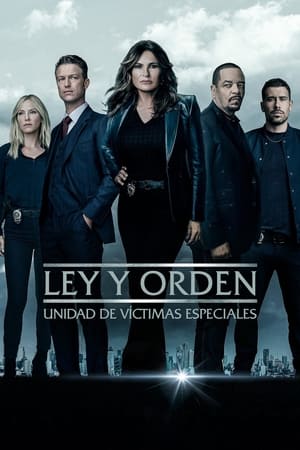 Law & Order: SVU (Special Victims Unit), Season 11 poster 2