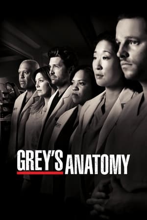 Grey's Anatomy, Season 14 poster 3