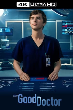 The Good Doctor, Season 1 poster 1