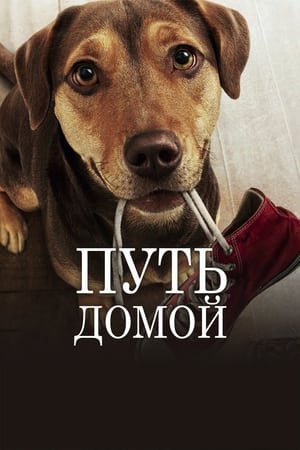 A Dog's Way Home poster 1