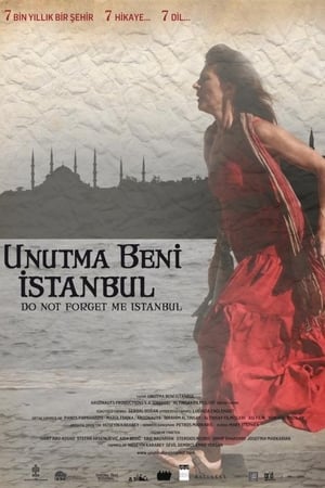 Do Not Forget Me Istanbul poster 2