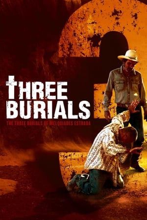 The Three Burials of Melquiades Estrada poster 4