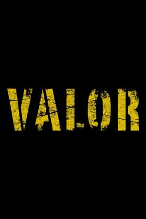 Valor, Season 1 poster 0