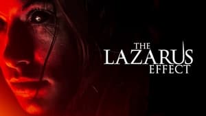 The Lazarus Effect image 2